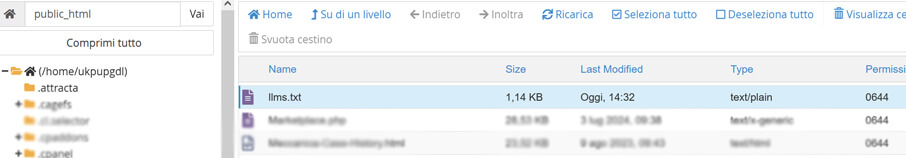 Screenshot dal server posizione del file llms.txt in Root